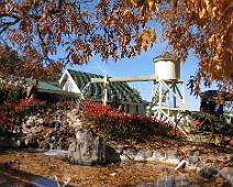 IMG_0285