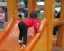 IMG_3141