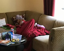 IMG_0449