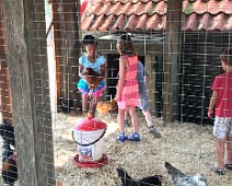 IMG_0452