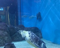 IMG_5496