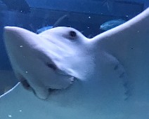IMG_5500