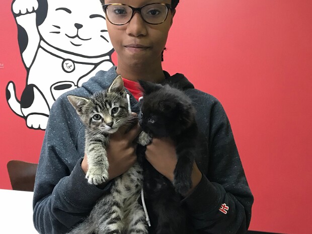 Twelfth Birthday Party