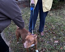 IMG_2201