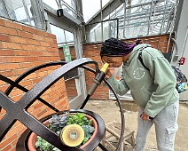 IMG_2209