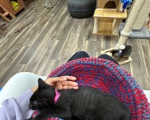 IMG_2213
