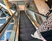 IMG_2524