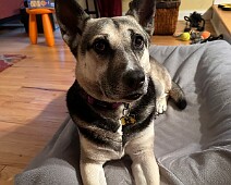 IMG_2568